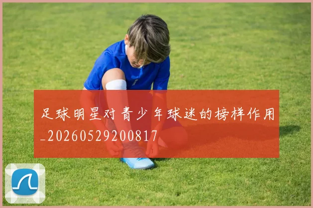 足球明星对青少年球迷的榜样作用_20260529200817