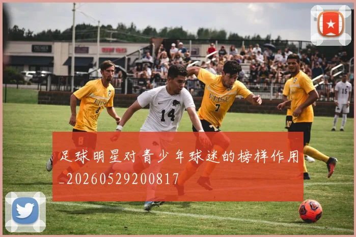 足球明星对青少年球迷的榜样作用_20260529200817