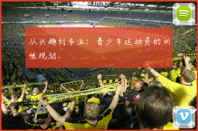 从兴趣到专业：青少年运动员的训练规划。